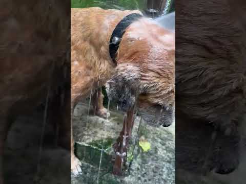 estamos en mazatenango Suchitepequez WhatsApp 32291402