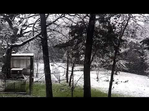 Bastrop TX winter wonder land