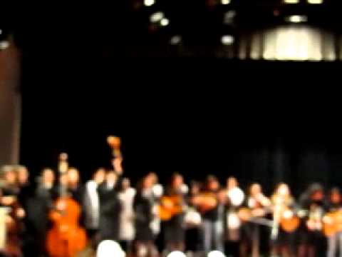 Chibinha - Tuna Feminina do ISEP