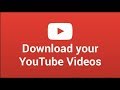 How To Download Videos From YouTube