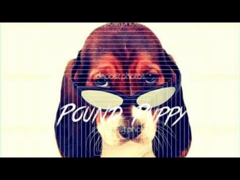 CB28---7-21-17---555-Nc,Dirty Bird-Ga,Pound Puppy-Nc,122-Me,405-Va,143-Nc