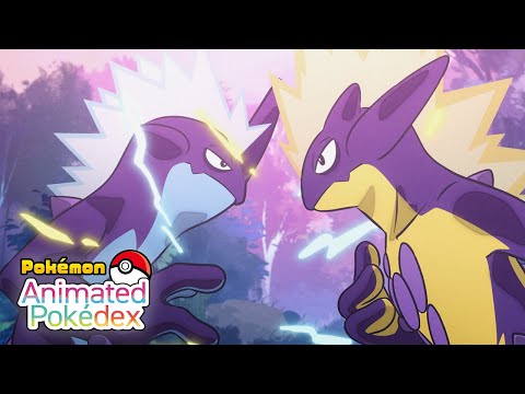 Toxtricity #0849 | Animated Pokédex Series