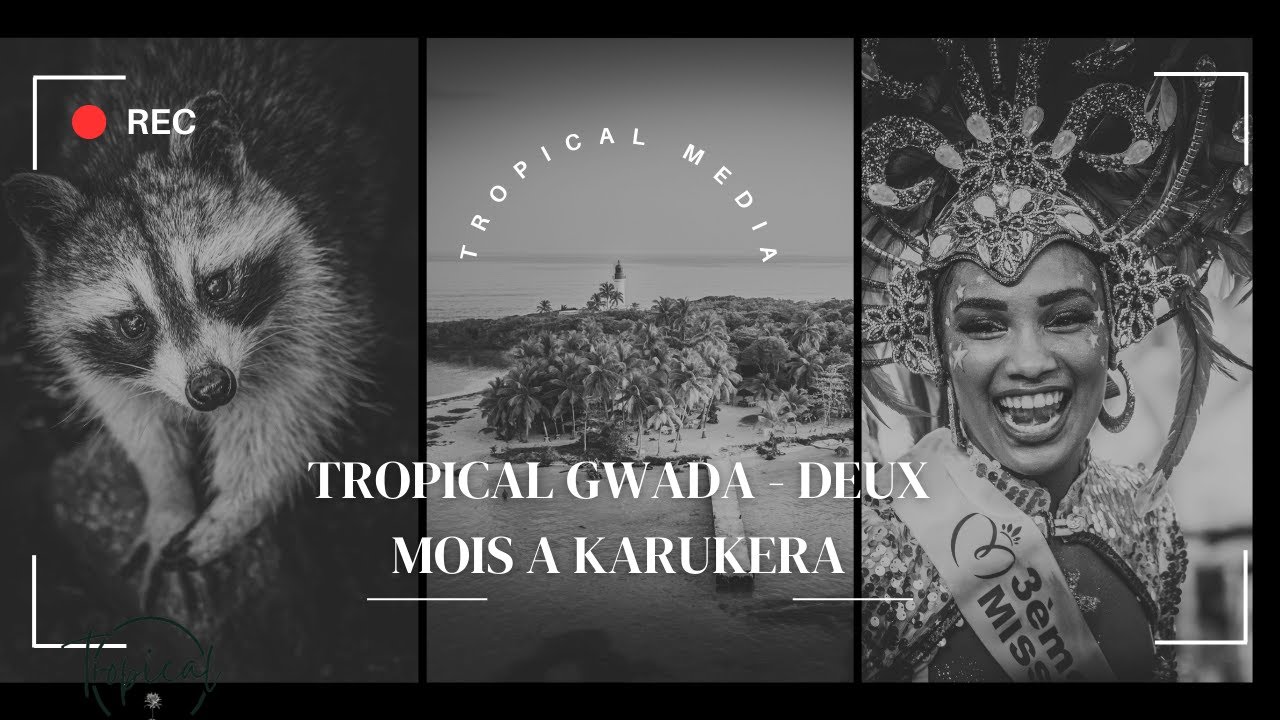 Youtube @TropicalMedia-971 thumbnail