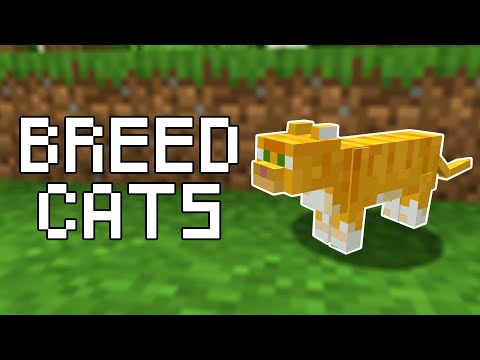 How to Breed Cats in Minecraft (All Versions)