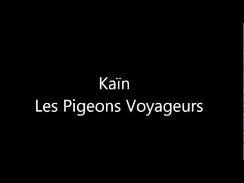 Les pigeons voyageurs