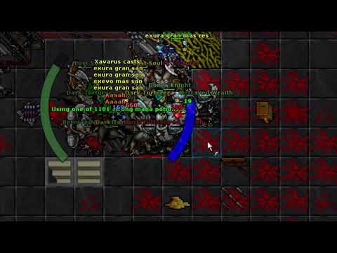 Tibia - INQ exp