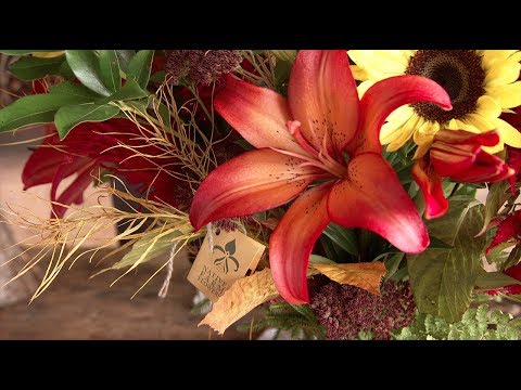Barbara Jefts' Flower Farm Blossoms, On Her Own Terms