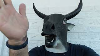 Bolsonaro e legião...FALTAM TREZE (13) DIAS PARA SABER O TAMANHO DE SUA CADEIA MUMUMUMU