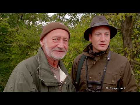 Hazai Vadász - 273. adás - 2019.08.09 - www.hazaivadasz.hu