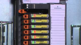 DeltaV SIS: Electronic Marshalling