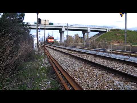 Comboio n.º 95286 - Riachos