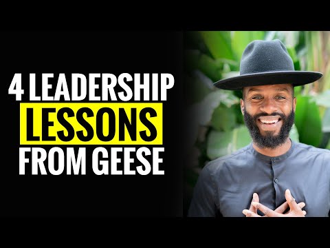 4 Leadership lessons from Geese