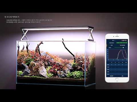 AQUARIUM STUDIO