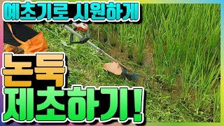 [예초기] 논둑 제초작업 하기