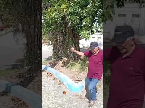 Bananeiras-PB🌵..#historias #contadordehistorias #riograndedonorte