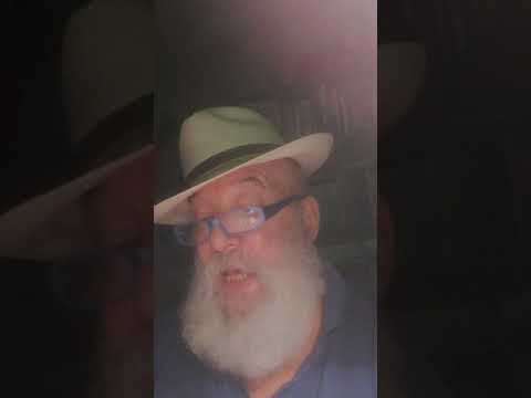 Faciteme magnà di Raffaele Viviani