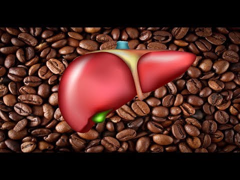 download lagu mp3 mp4 Caffeine Fatty Liver, download lagu Caffeine Fatty Liver gratis, unduh video klip Caffeine Fatty Liver