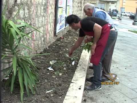 www.siciliatv.org - Favara, i cittadini pensano al decoro di Piazza Giarritella