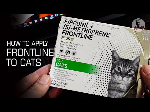 How to Apply Frontline Plus to Cats | Pet Care 2021
