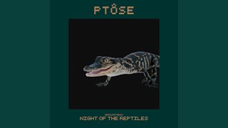 Night of the Reptiles - Ptôse Obsolete Remix Music Video
