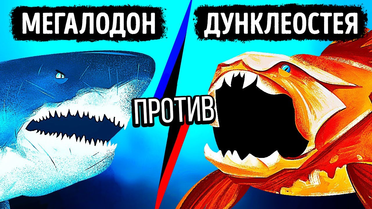 Что, если бы мегалодон встретил рыбу с самым сильным укусом