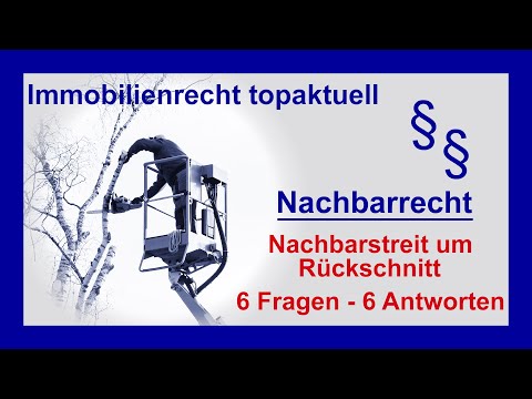 Rückschnitt - Rechte und Pflichten des Nachbarn  | Tutorial
