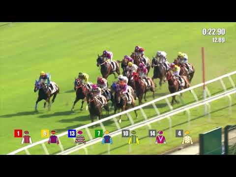 25/9/2022 (42) Joyful Win - L Hewitson