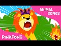 The Lion | Animal Songs | PINKFONG Songs for Children