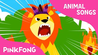 The Lion  Animal Songs  PINKFONG Songs for Childre