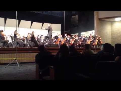 TMEA REGION 24 Symphonic orchestra