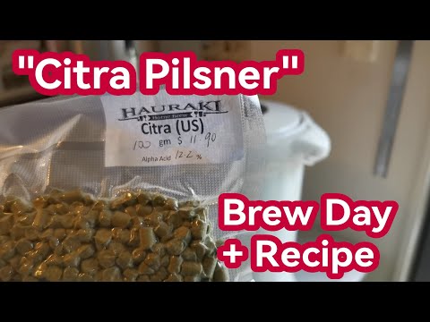 Citra Pilsner – Brautag + Rezept