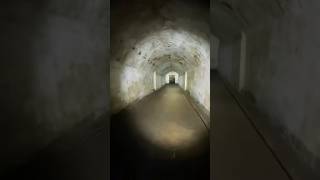 Download lagu The Mystery of the Dutch Cave in Bandung 😱 #viralvideo #fyp #goabelanda #dago #bandung #reels mp3