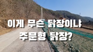 이것이 주문형 닭장! 내가 필요해서 내가 만든 닭장.