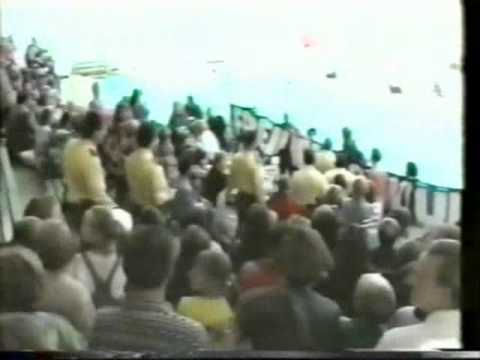 Tierrechte-Tierschutz  WDR - aktuelle Stunde - Delfinrien