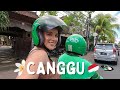 THE ULTIMATE GUIDE TO CANGGU, BALI | Where To Stay, What To Do + What The Hype Is All About ;)