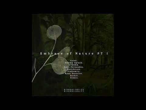 Pinkowitz - Arrival of Spring [Singularity Records]