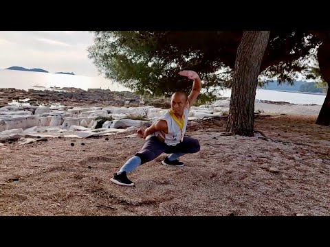 Shaolin Kung Fu Class 7: Drop Stance