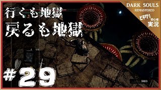【実況】#29 ダークソウル リマスタード 「ソラールくぅぅぅぅん！！！？？」-- DARK SOULS REMASTERED --