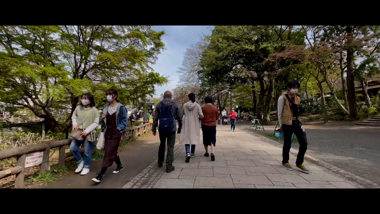 Immerse yourself in the captivating cinematic treasures of Inokashira Park!