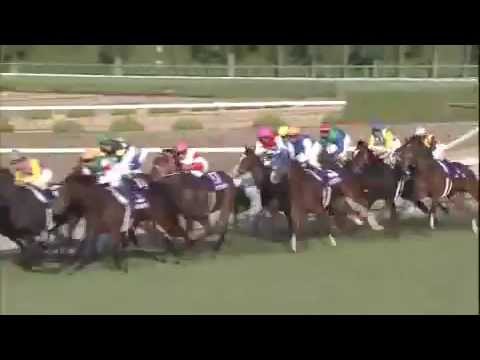 2014.12.14 Hanshin Juvenile Fillies - Shonan Adela