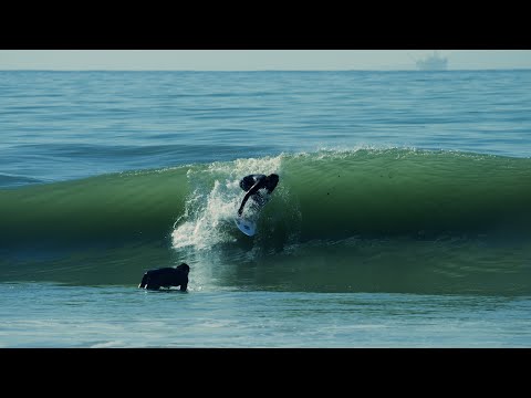 Paradise Guys: Daily Exports