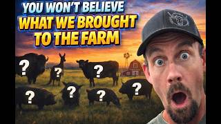 What an Insane Day at the Alternative Animal Auction!