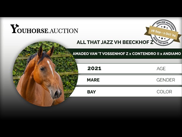 All That Jazz vh Beeckhof Z