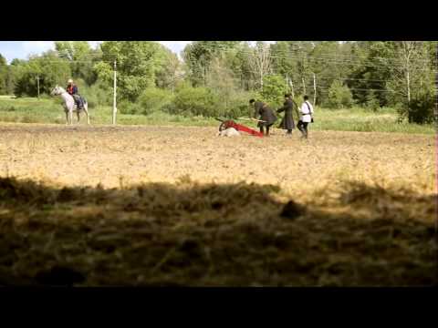 Bitwa pod Fajsławicami