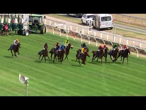 David & Karyn Ellis Fillies Classic Amarelinha