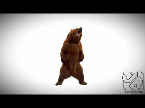 [FREE] PLK x LEFA Type Beat "Money" | Free type beat