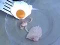 Breakfast: Fortified With Iron