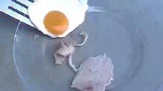 Breakfast: Fortified With Iron