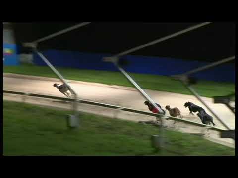 Galloping Moon - Coral Brighton Belle - Heat 5