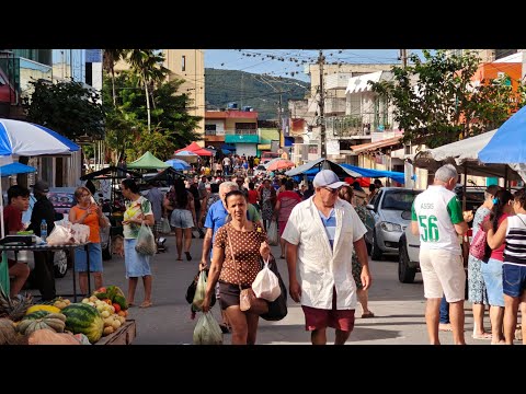 FEIRA LIVRE DE CUMARU PERNAMBUCO PESQUISA DE PREÇO 05/09/2026